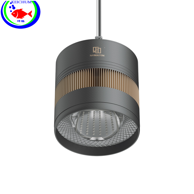 Marine Aquarium Led Lights - p goldfish Thai lion down lamp