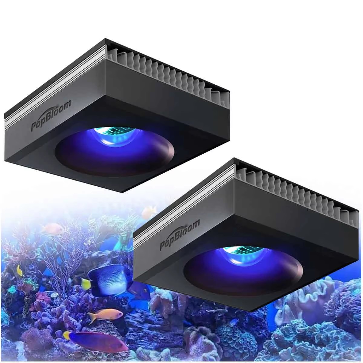 PopBloom RL90 WiFi Reef Aquari - Marine Aquarium Led Lights recension och pris