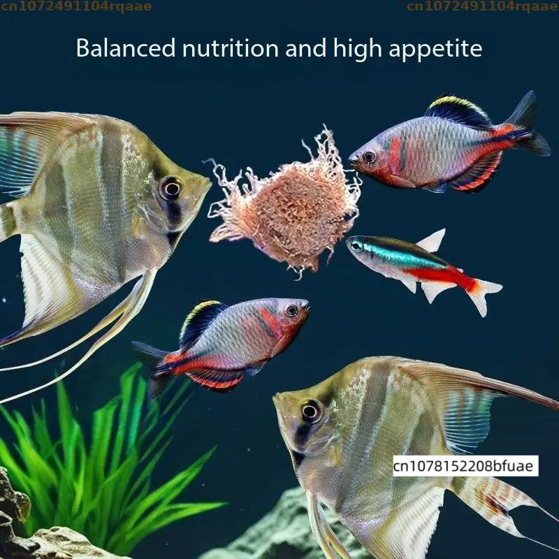 Aquarium Fish Feeder Matching  - Marine Aquarium Cube recension och pris