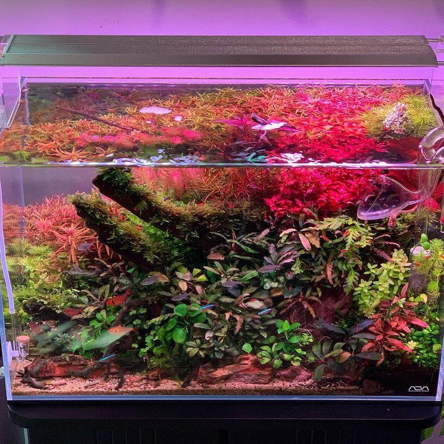 WEEK AQUA Aquarium Led Vivid L - Marine Aquarium Led Lights recension och pris